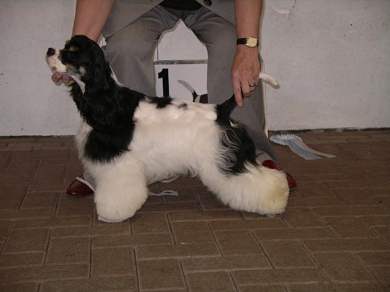 3b Pup teef 1 VB.jpg